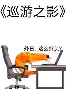 巡游是什么意思