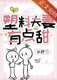 塑料夫妻有点甜 书旗