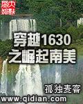 穿越1630之崛起南美内容简介