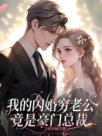 闪婚之我的老公是总裁