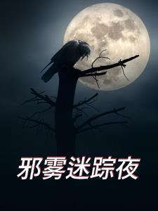 夜点网络谜踪