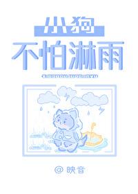 小狗淋雨了怎么办